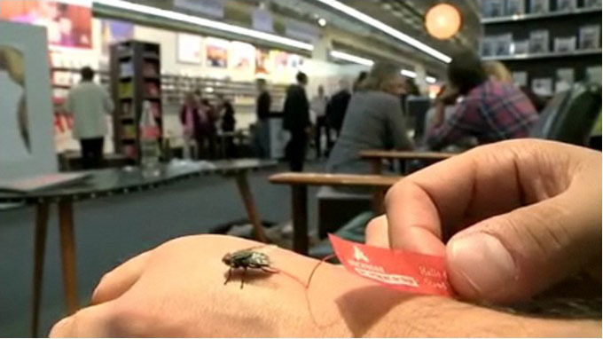 mouches-flyer-apercu La mouche, esclave de l'éditeur allemand Eichborn